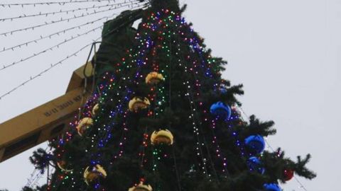 В Керчи установили елку с украинской символикой: оккупанты бесятся от злости (фото)
