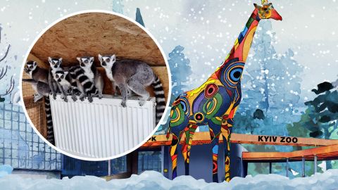 "Зоопарк эвакуировать невозможно": как живут экзотические животные во время войны в Украине (фото)
