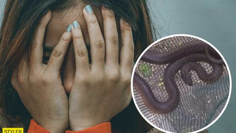 Киянку злякав "удав" у відрі для сміття: що це було насправді