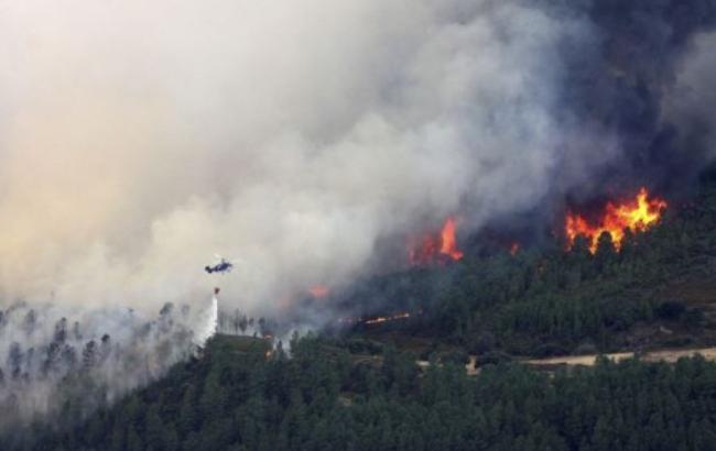 В Іспанії через лісові пожежі евакуйовано 1,4 тисячі осіб