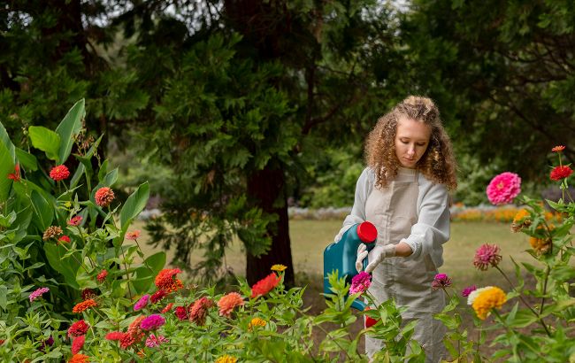 Які квіти треба садити у квітні, щоб вони давали пишні суцвіття (фото)