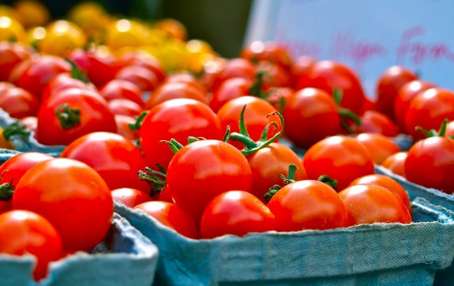 В Украину завезли ядовитые помидоры с опасным вредителем