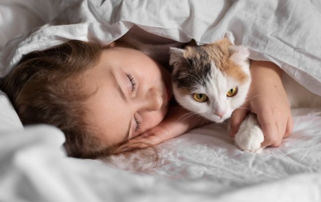 Вот почему спать с котом в одной кровати - это плохая идея