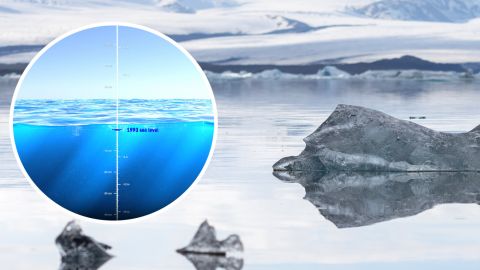 NASA показує, як підвищився рівень води за 30 років: вражаюче відео