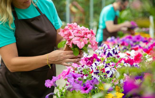 Эти 6 видов цветов можно посадить в августе и они будут радовать вас вплоть до заморозков
