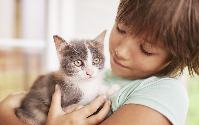 Как украинцам лучше всего называть кошек: классные имена и клички