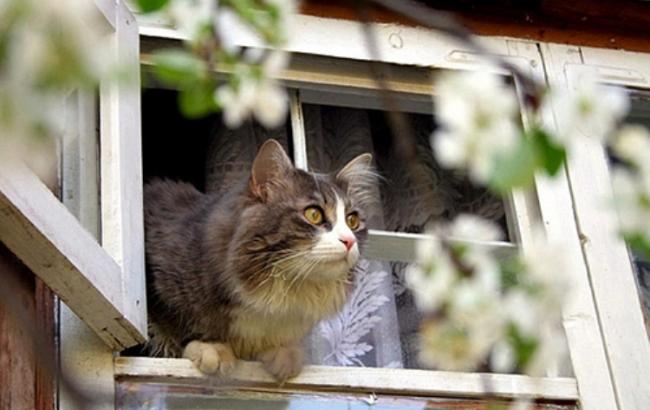 Погода на завтра: в Украине преимущественно без осадков, температура до +12