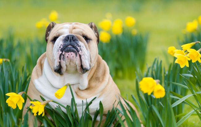 Погода на сегодня: в Украине без осадков, температура до +18