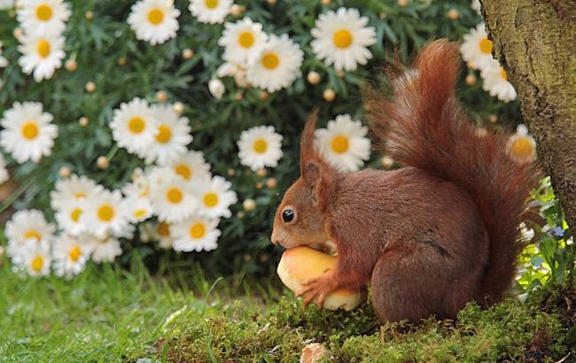 Погода на сегодня: в Украине преимущественно без осадков, температура до +20