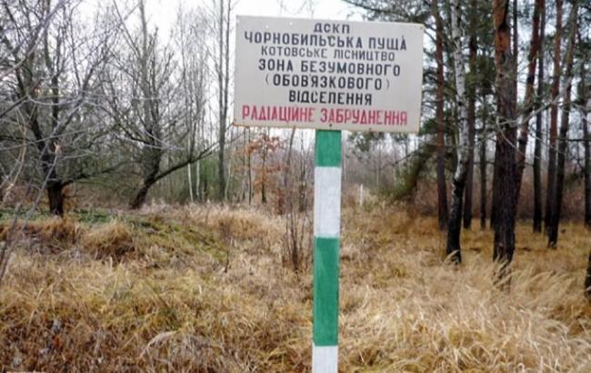 Майже половина Чорнобильської зони відчуження буде небезпечною для життя ще 24 тис. років