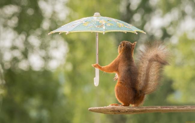 Погода на завтра: в Украине ожидаются дожди, местами с грозами, температура до +19