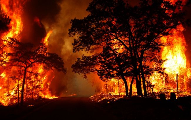 Лесной пожар в Канаде может уничтожить большую часть города Форт Мак-Мюррей
