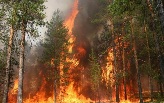 Из-за пожаров в Амурской области РФ ввели режим чрезвычайной ситуации