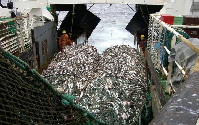 Госрыбагентство опровергает введение моратория на вылов рыбы в Киевской области