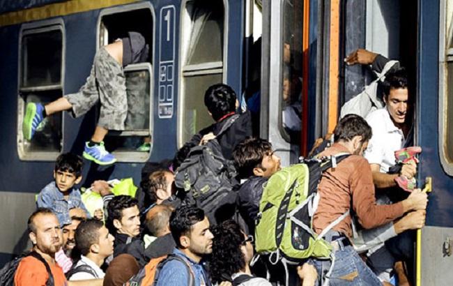Кожен другий біженець з Сирії повернеться назад, - міністр Німеччини