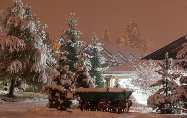 Снегопады в Украине: самые невероятные фото