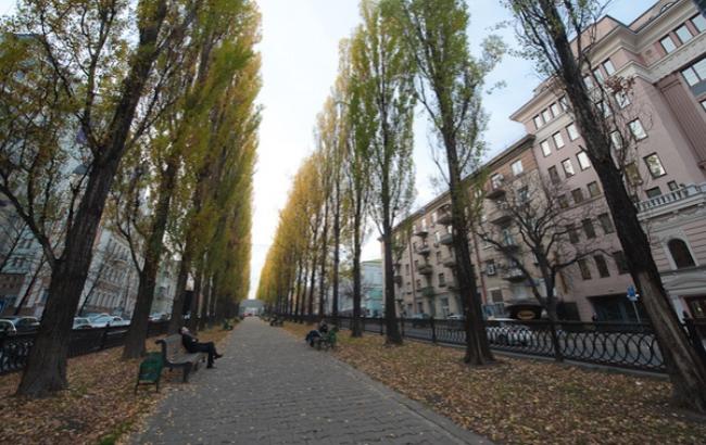 Киевский бульвар Шевченко ожидает капремонт