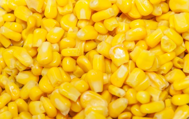 Консервуємо кукурудзу вдома на зиму: втричі дешевша за магазинну!