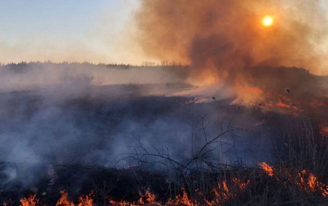 В части Украины объявили чрезвычайный уровень пожарной опасности