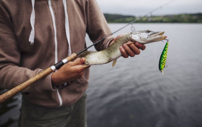 Когда можно ловить рыбу в Украине: календарь клева на июнь