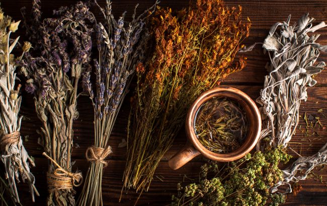 Народные суеверия: 7 трав, которые отогоняют зло и привлекают удачу