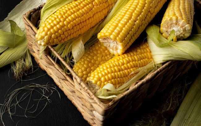 Скільки качанів кукурудзи можна з'їсти, і кому не можна її вживати взагалі