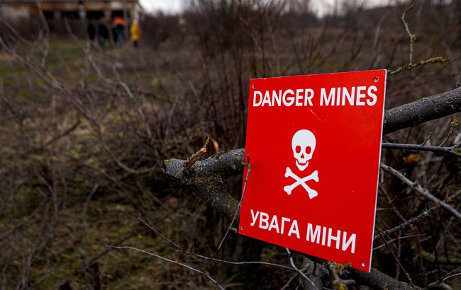Леса, мосты и дороги. Беларусь массово минирует территории на границе с Украиной