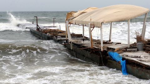 Аварія танкерів РФ у Чорному морі: на Одещині виявили птахів, забруднених мазутом