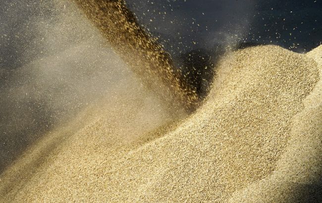 ЕС усилит проверки импорта зерна из Украины на фоне протестов фермеров, - еврокомиссар