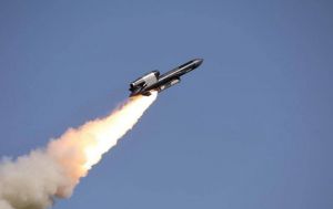 Українські військові отримали партію "Фламінго": нові фото крилатих ракет