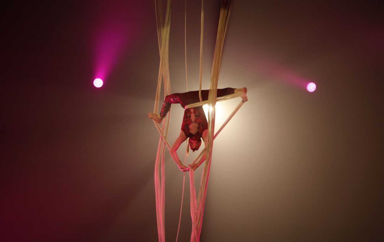 Мистецтво молодих? Скільки заробляють артисти цирку й коли виходять на пенсію