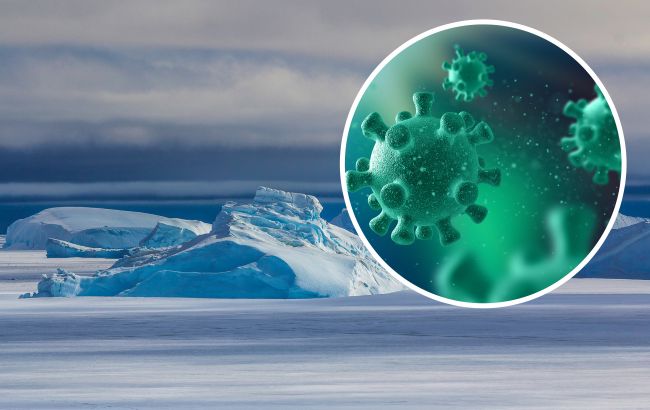 Вблизи Антарктиды обнаружили новый смертельный вирус: кому и чем он угрожает
