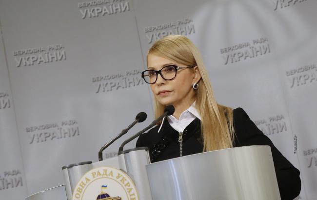 "Батьківщина" вимагає скасувати е-декларування для громадських активістів