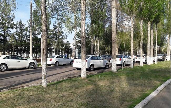 В Туркменистане хотят запретить автомобили всех цветов, кроме белого