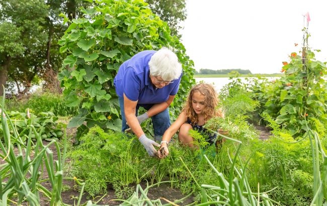 Врожай під загрозою? Як погода кінця червня вдарила по городах і полях