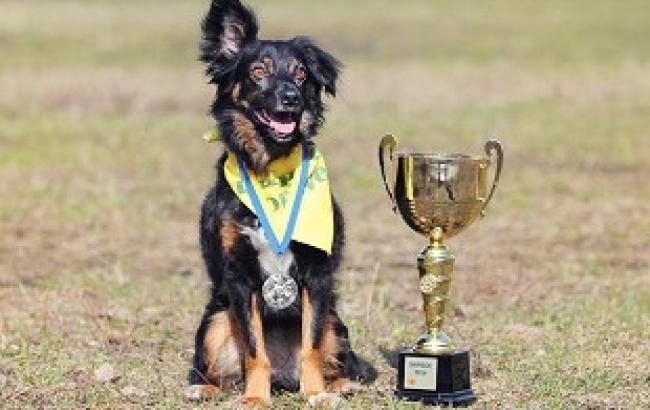 "Кубок Барбоса"