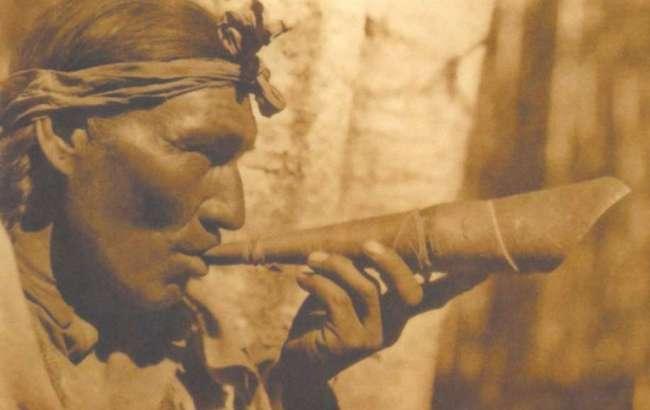 Недавно обнаруженный "город майя" оказался плантацией конопли