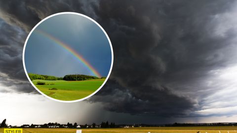 Україну накриють грози і зливи: синоптики різко змінили прогноз погоди