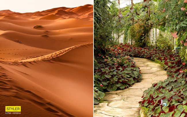 Глобальне потепління перетворить Сахару на квітучий сад: кліматологи забили тривогу