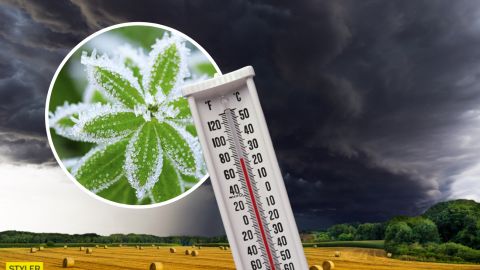 Синоптики не можуть пояснити: в Україну йдуть заморозки