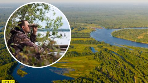 У Чорнобилі показали хижака, який не любить фотографуватися