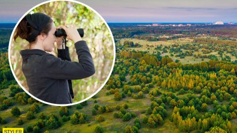 У Чорнобилі в кадр потрапили рідкісні тварини: найяскравіші фото з зони відчуження