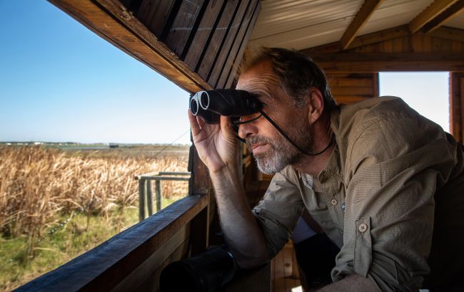 Редкая певчая птица исчезает: в Украине начинают миссию спасения