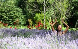 В Україні пропонують створити "квіткове" свято: коли його відзначатимуть