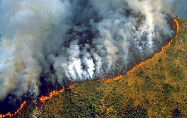 Євросоюз може відкласти торгову угоду з Бразилією через лісові пожежі