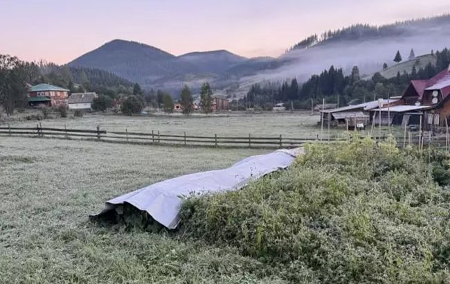 Мінусова температура в серпні: на Буковині зафіксували приморозки (фото)