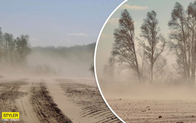 Украина превращается в пустыню: в сети показали жуткие последствия вырубки лесов