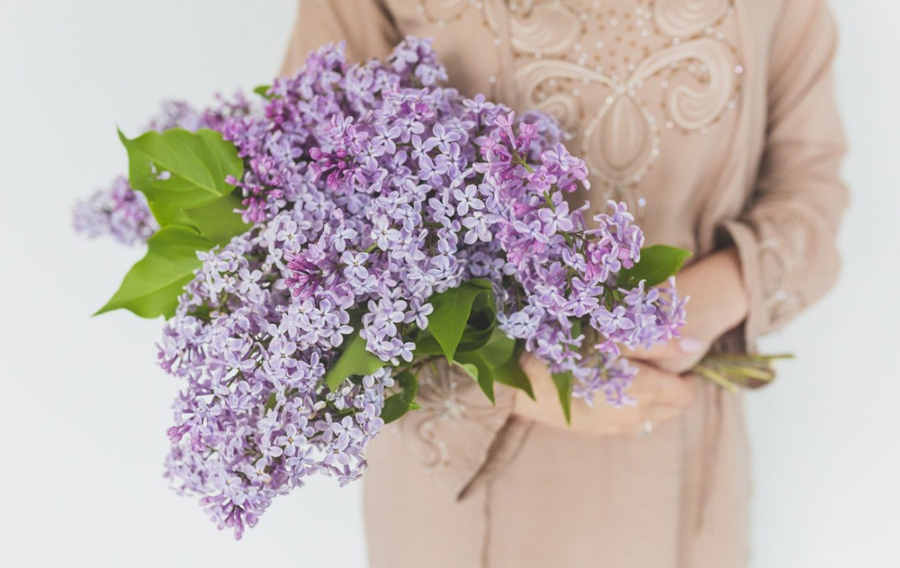 Не робіть цього з бузком, аби він "жив" роками: важливе правило від садівників