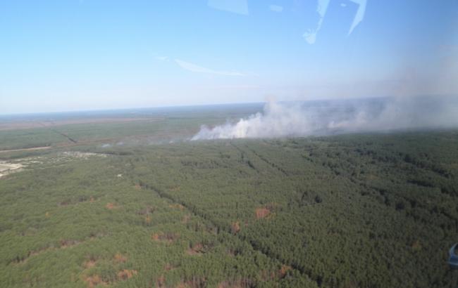 Пожежу у Чорнобильській зоні локалізовано, - ДСНС