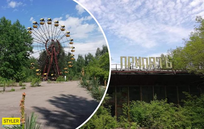 Природа восстанавливается: как выглядит Чернобыльская зона в условиях карантина